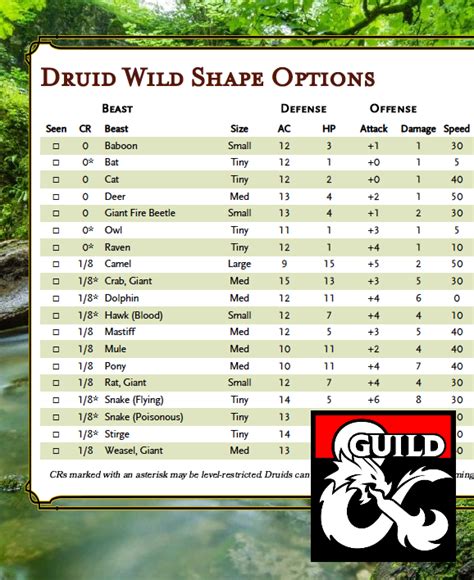 swarm druid|druid wild shape guide.